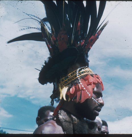 Photograph
