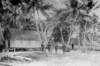 membersofthepapuanconstabulary_small.jpg